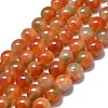 Natural Malaysia Jade Beads Strands G-L645-C01-14mm-29-1