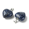 Natural Sodalite Pendants G-F820-10A-02-2