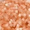 Glass Seed Beads X1-SEED-H002-D-A807-3