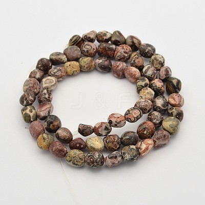 Natural Leopard Skin Jasper Bead Strands G-P070-56-1
