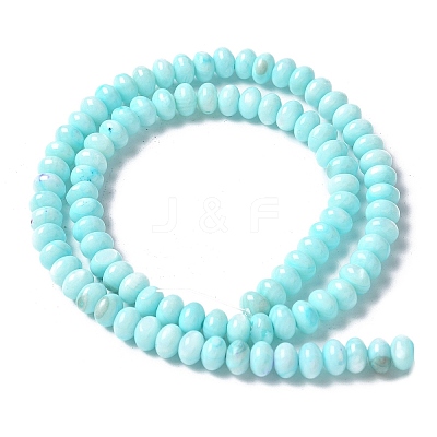 Natural Freshwater Shell Beads Strands SSHEL-C013-07B-1