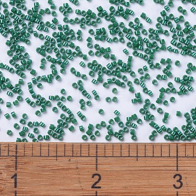 MIYUKI Delica Beads X-SEED-J020-DB0656-1