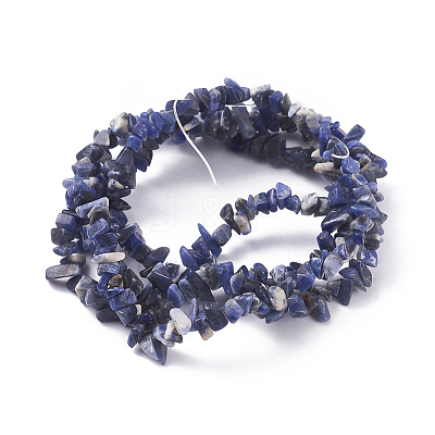 Natural Sodalite Beads Strands X-G-G782-31-1