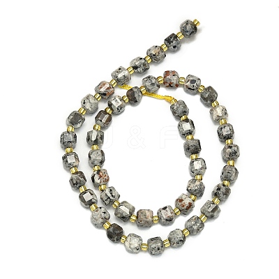 Natural Syenite Beads Strand G-I376-D17-01-1