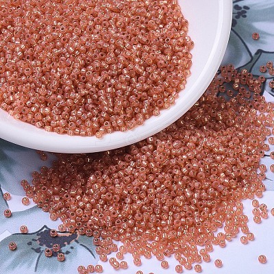 MIYUKI Round Rocailles Beads SEED-G007-RR0553-1
