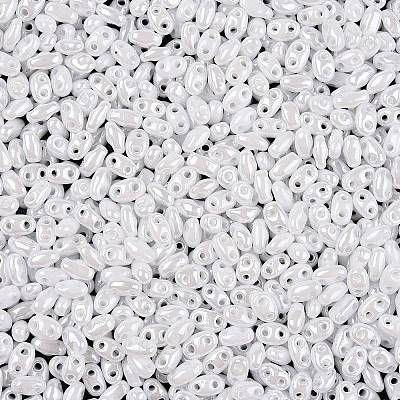 Opaque Colours Luster Glass Seed Beads SEED-T006-02L-1