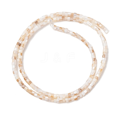 Natural Freshwater Shell Beads Strands SHEL-K006-72A-1