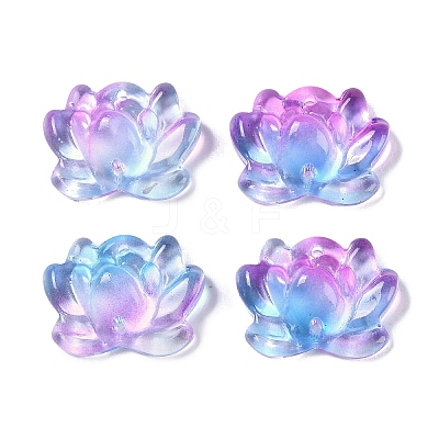 Baking Paint Glass Beads X-GLAA-S202-13A-1
