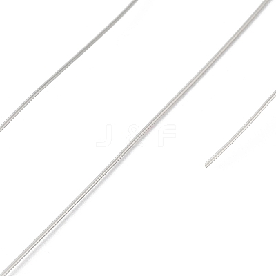 Non-Tarnish 10 Rolls 304 Stainless Steel Wire TWIR-H001-01F-P-1