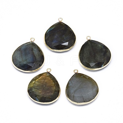 Natural Labradorite Pendants G-E526-05A-1