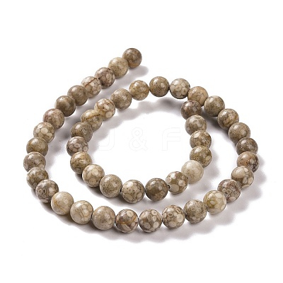 Natural Maifanite/Maifan Stone Beads Strands G-I187-4mm-01-1