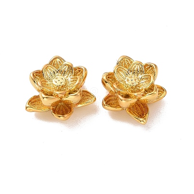 Eco-friendly Brass Beads KK-D079-08G-1