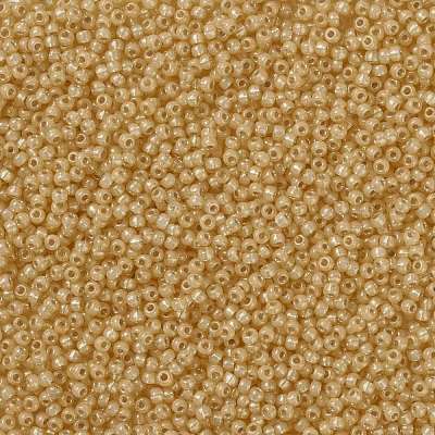 MIYUKI Round Rocailles Beads X-SEED-G008-RR0677-1