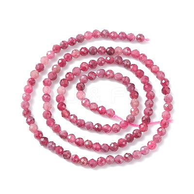 Natural Red Tourmaline Beads Strands X-G-A021-01B-1