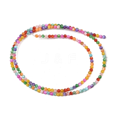 Dyed Natural Freshwater Shell Beads Strands SHEL-G014-05A-01-1