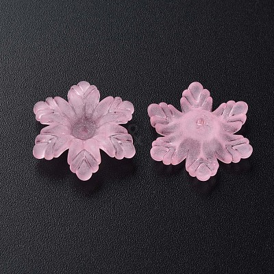 Transparent Acrylic Beads MACR-S373-117-D12-1