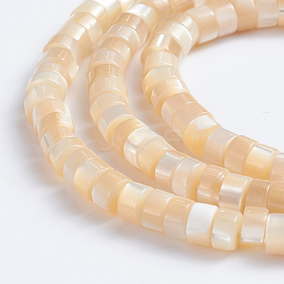 Natural Trochid Shell/Trochus Shell Beads Strands X-SSHEL-L016-13B-1
