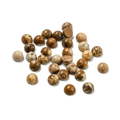 Natural Picture JasperCabochons G-Q173-01A-07-1