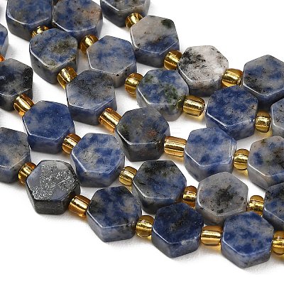 Natural Blue Spot Jasper Beads Strands G-F833-B16-01-1
