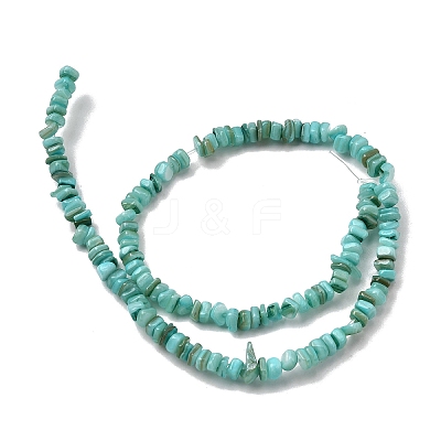 Natural Freshwater Shell Beads SHEL-B003-01B-1