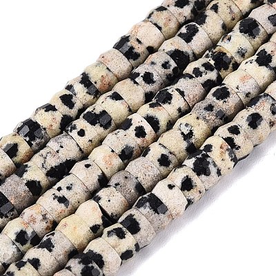 Natural Dalmatian Jasper Beads Strands G-Q606-46A-01-1