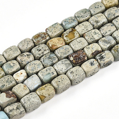 Natural Variscite Beads Strands G-N346-04A-11-1
