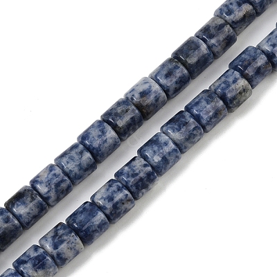 Natural Blue Spot Jasper Beads Strands G-G275-D21-10x10mm-1