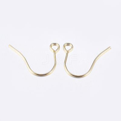304 Stainless Steel Earring Hooks STAS-P162-13P-B-1