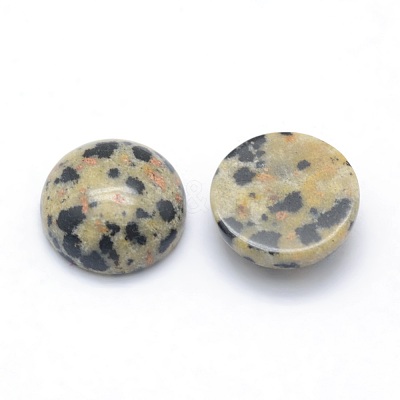 Natural Dalmatian Jasper Cabochons X-G-P393-R33-10MM-1