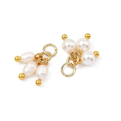 4Pcs 4 Styles Shell Pearl and Natural Pearl Pendants PALLOY-JF05632-1