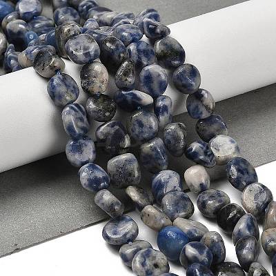 Natural Blue Spot Jasper Beads Strands G-P497-01E-67-1