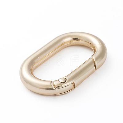 Electroplated Alloy Keychain Clasps PALLOY-G260-01G-1