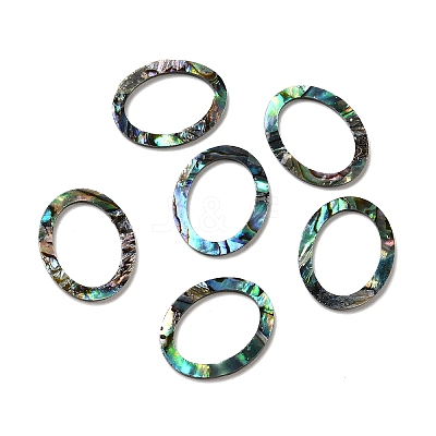 Natural Abalone Shell/Paua Shell Cabochons SHEL-K006-13A-1