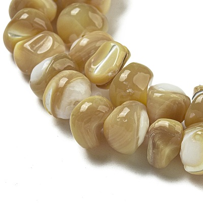 Natural Trochus Shell Beads Strands BSHE-G039-01A-1