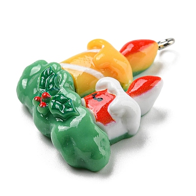 Opaque Resin Pendants CRES-D010-01G-1