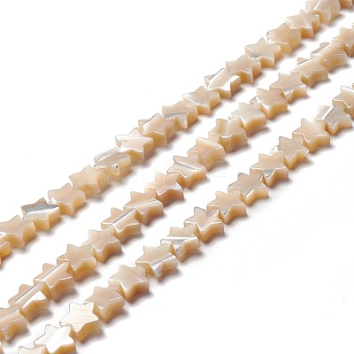 Natural Trochid Shell/Trochus Shell Beads SSHEL-O001-25B-01-1