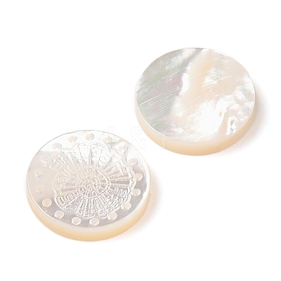 Natural White Shell Carved Cabochons SSHEL-C012-22A-1