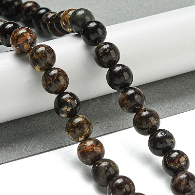 Natural Phlogopite Beads Strands G-P546-A01-04-1