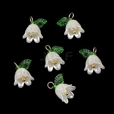 Acrylic Pendants OACR-D012-01C-1