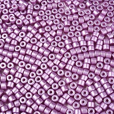 Baking Paint Pearlized Glass Seed Beads SEED-T008-03L-1