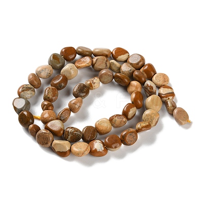 Natural Picture Jasper Beads Strands G-P497-01C-25-1