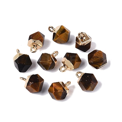 Natural Tiger Eye Pendants G-N359-18G-03-1