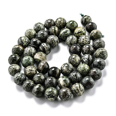 Natural Green Zebra Jasper Beads Strands G-L574-05B-1