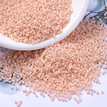 MIYUKI Delica Beads SEED-X0054-DB0206-1