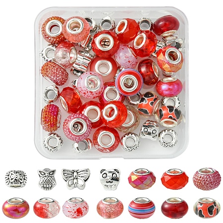 DIY Tibetan Style Alloy & Resin European Beads Making Finding Kits DIY-FS0006-78E-1