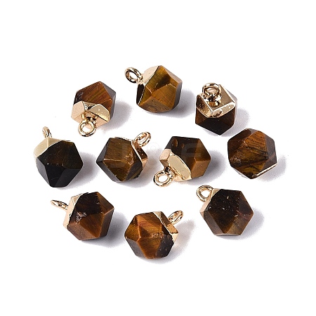 Natural Tiger Eye Pendants G-N359-18G-03-1