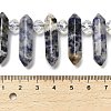 Natural Blue Spot Jasper Double Terminated Point Beads Strands G-H069-A10-01-4