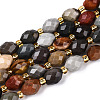 Natural Picture Jasper Beads Strands G-N342-53-8x6-09-2