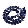 Natural Sodalite Beads Strands G-N371-10A-03-3