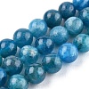 Natural Apatite Beads Strands G-R446-6mm-11-1